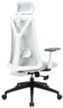 VR01SG 薇拉高背主管網椅 - 點擊圖像關閉