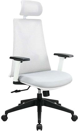 VR01SG 薇拉高背主管網椅