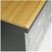 WP-3 置物櫃/鞋櫃木質坐墊